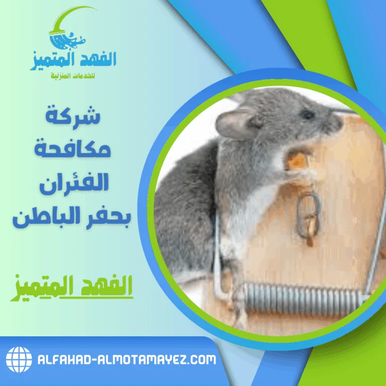 شركة مكافحة الفئران بحفر الباطن